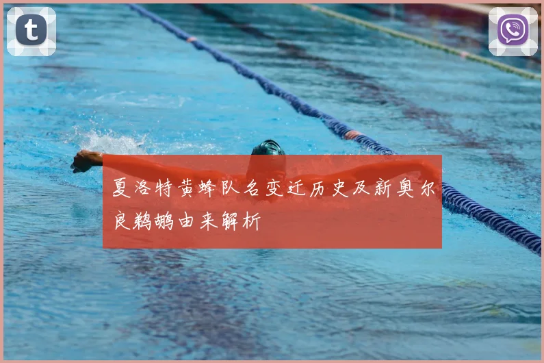 夏洛特黄蜂队名变迁历史及新奥尔良鹈鹕由来解析