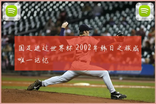 国足进过世界杯 2002年韩日之旅成唯一记忆
