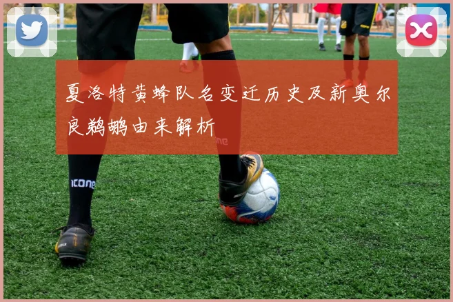 夏洛特黄蜂队名变迁历史及新奥尔良鹈鹕由来解析